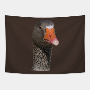 Neck Up Photograph Portrait Of A Geeky Looking Brown Duck Tapestry