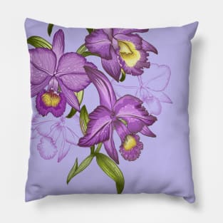 Hand drawn graphic art of orchid flowers. Pillow