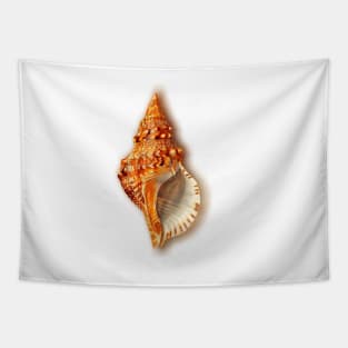 Conch Tapestry