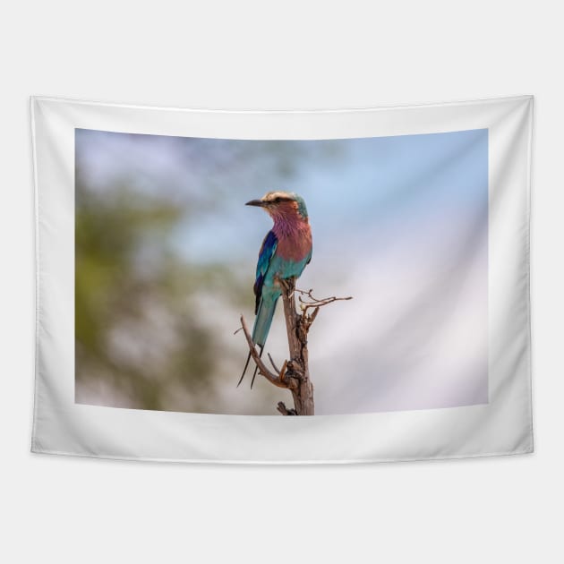 Lilac-breasted Roller - Kruger National Park, South Africa Tapestry by holgermader