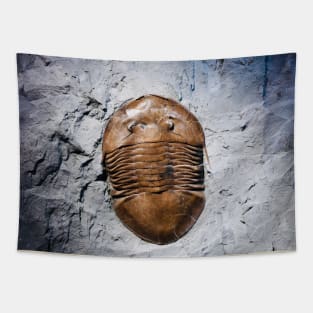 Fossil 2 Tapestry