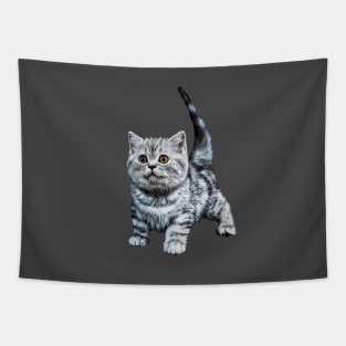 British Shorthair Tabby Cat Kitten Tapestry