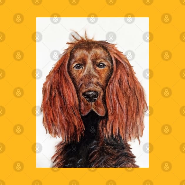 Red Setter by Indicative of Hannah