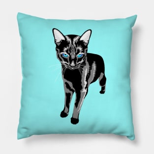 Blue Eyed Black Cat Pillow