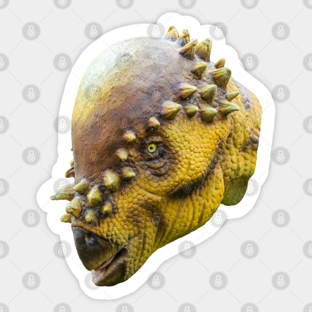 Pachycephalosaurus head Pachycephalosaurus Sticker TeePublic