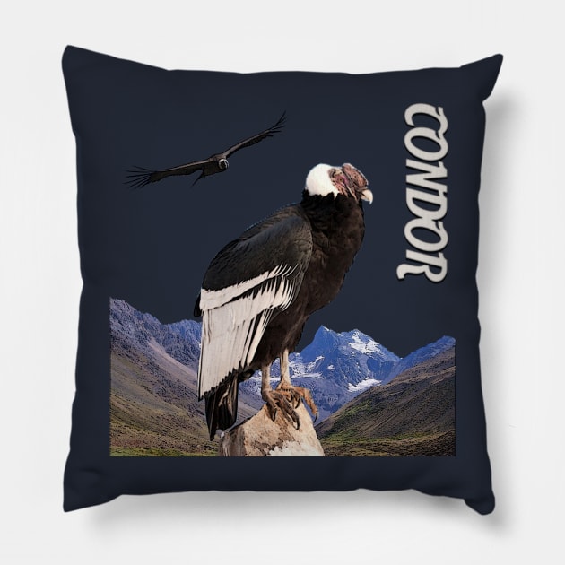 Andean condor Pillow by Caravele