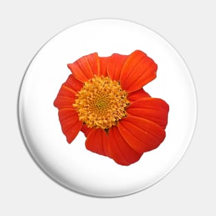 Red Sunflower Yellow and Green Close Up Pin