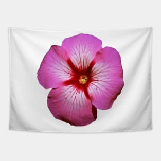 Pink Petunia Flower Graphic Art Print Tapestry