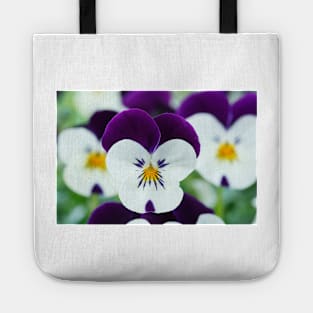 Viola  Rocky White with Purple Wings  Rocky series Tote