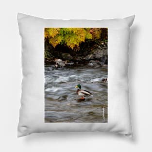 Mallard on Lake Rescue Pillow