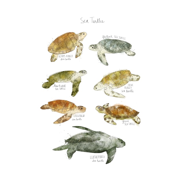 Sea Turtles by Amy Hamilton