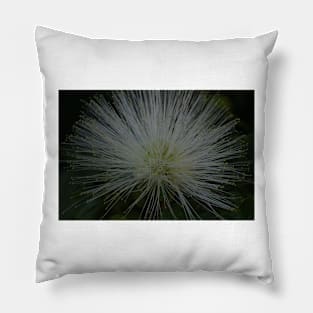 Firework Flower(single) Pillow