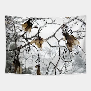 Frozen Branches and Leaves- Freezing Rain in the Spring Tapestry