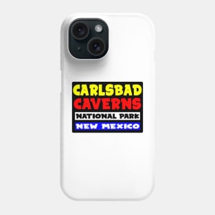 CARLSBAD CAVERNS NATIONAL PARK NEW MEXICO VINTAGE TRAVEL Phone Case