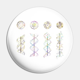 A-,B-,C- and Z-DNA Pin