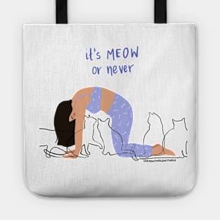 Meow or never Tote