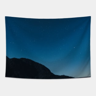 Starry night sky in the mountains Tapestry