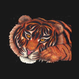 Tiger Nap T-Shirt
