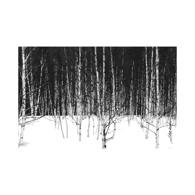 Winter Birch Forest by srwdesign