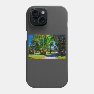 Cumberland Island National Seashore Phone Case