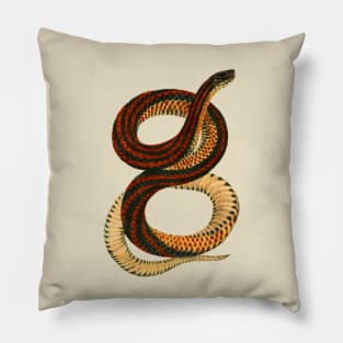 erpent,cobra,reptile,viper,venom,lizard,rattlesnake,king cobra Pillow