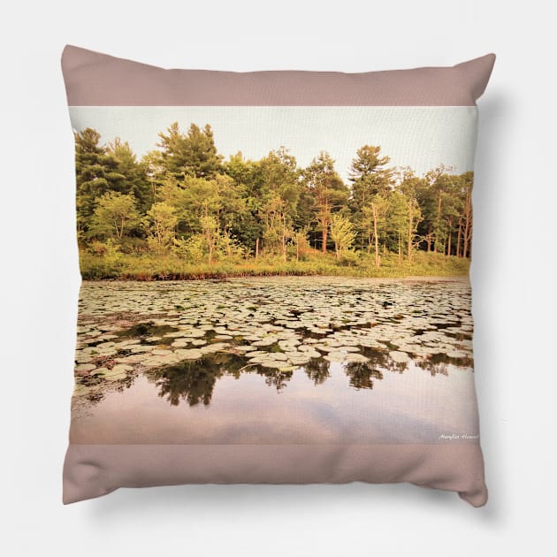 Water Lilies - Golden - Frontenac Provincial Park Pillow by MaryLinH