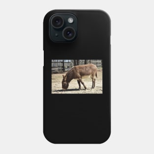 Donkey Phone Case