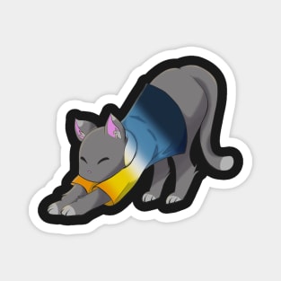 Aroace cat stretching Magnet