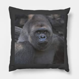 Western Lowland Gorilla Pillow