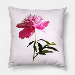 Pink Peony Profile Pillow