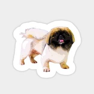 Pekingese Dog Adorable Pekinese Puppy Face Magnet