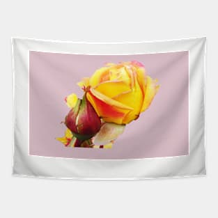 Beautiful yellow and red Rose Tapestry