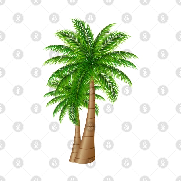 coconut palm by usastore