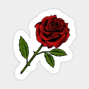 Red Rose Magnet