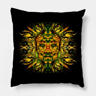 The shaman. Pillow