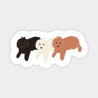 DOGS Magnet