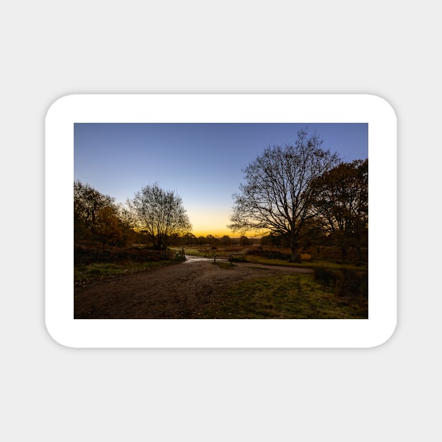 Richmond Park Sunrise Magnet by GrahamPrentice