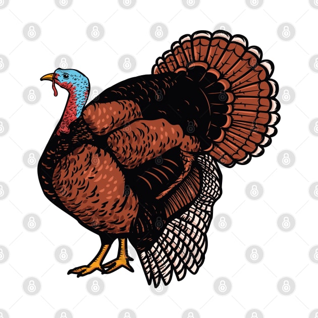 Turkey Illustration by Mako Design 