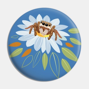 Cutie jumping spider Pin