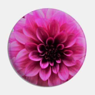 Bright Pink Dahlia Pin