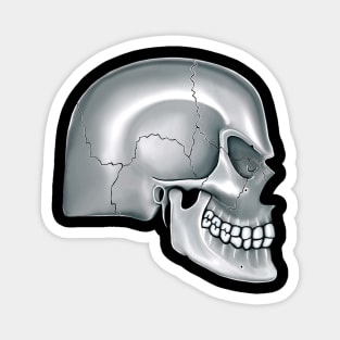 Gray Angry Skull Magnet