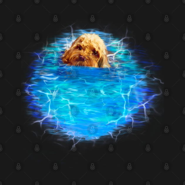 Cavapoo swimming puppy dog   - cavalier king charles spaniel poodle, puppy love by Artonmytee