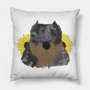 Merle Tan American Bully with Sunflowers Pillow