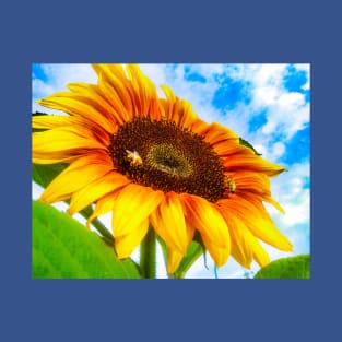 Summer Sunflower Blue Sky Bees T-Shirt