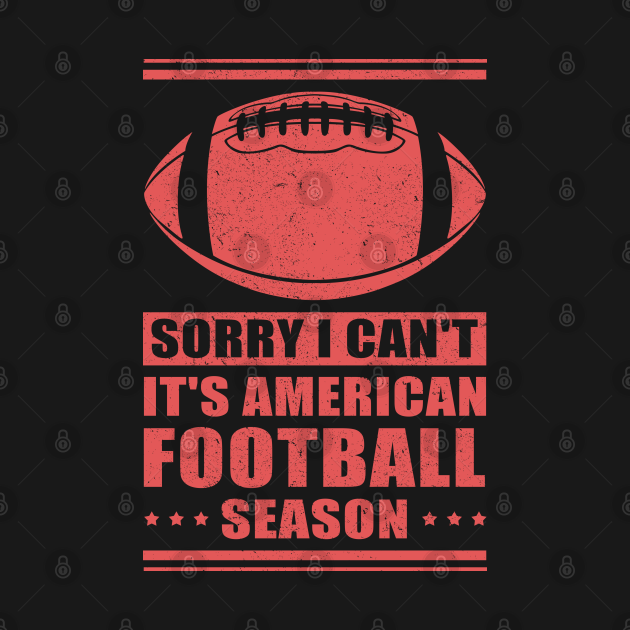 Disover It's American Football Season | Footballer Gift - Football Lover - T-Shirt