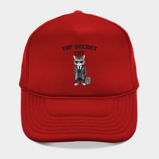 Top Secret Cat Hat
