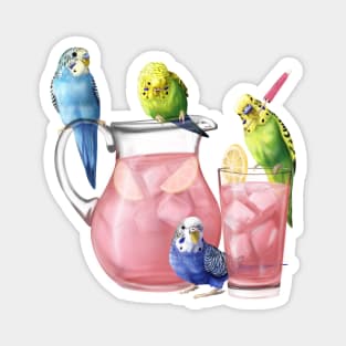 Budgies and pink lemonade Magnet