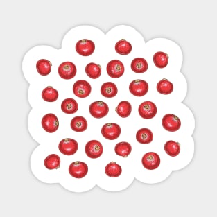 Cranberry Magnet