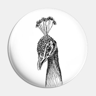 Peacock head image Pin