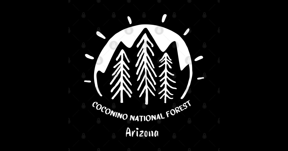 Coconino National Forest Arizona Coconino National Forest Sticker